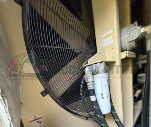 WhatsApp Image 2026-03-14 at 1.20.04 AM