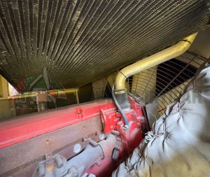 WhatsApp Image 2026-03-14 at 1.20.24 AM