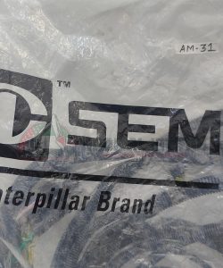 AM31-1